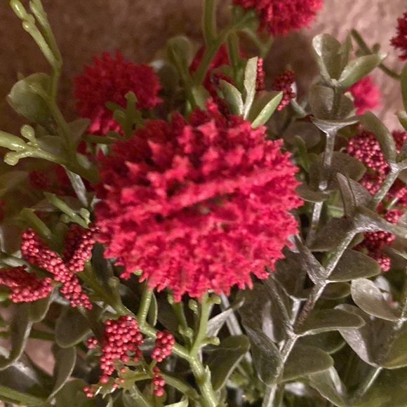 Garden Bush Pick Red - Picture 4 of 5